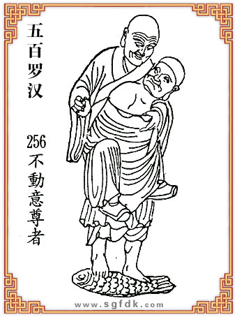 ޺-256